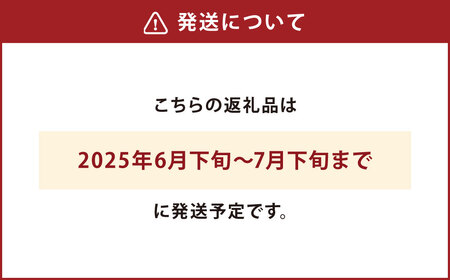 004-1052x1 【先行予約】 平均糖度20度以上 スイートコーン 約6kg前後 13本～16本 とうもろこし 【2025年6月下旬～7月下旬発送予定】