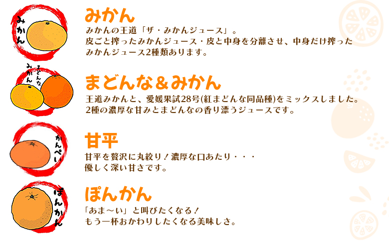＜一歩会 ジュエリーボックス ジュース飲み比べセット 720ml×12本入り（果汁100%ストレートジュース）＞『令和8年5月より順次出荷予定』愛媛 みかん ミカン 柑橘 果物 フルーツ 特産品 渡江