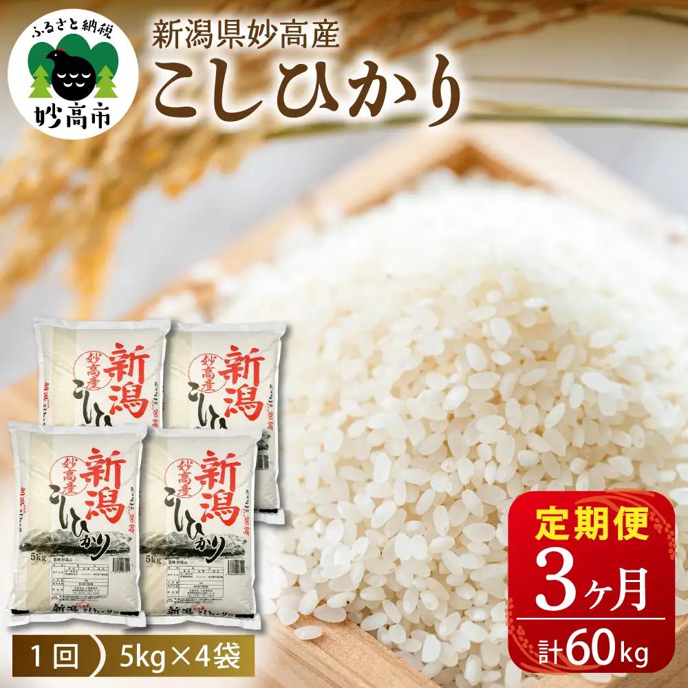 【定期便】【2026年6月中旬より発送】新潟県妙高産コシヒカリ20kg3回計60kg