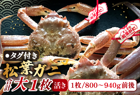 【活き】タグ付き松葉ガニ　大　１枚
