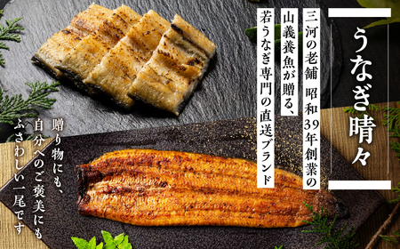 【定期便】蒲焼き２尾 １２ヶ月連続お届け うなぎ晴々 新仔 うなぎ 