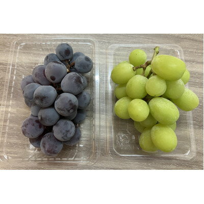 【ふるさと納税】シャインマスカット+ピオーネ　パック食べ比べセット　約1.2kg以上(各2パック)【配送不可地域：離島・北海道・沖縄県】【1705904】