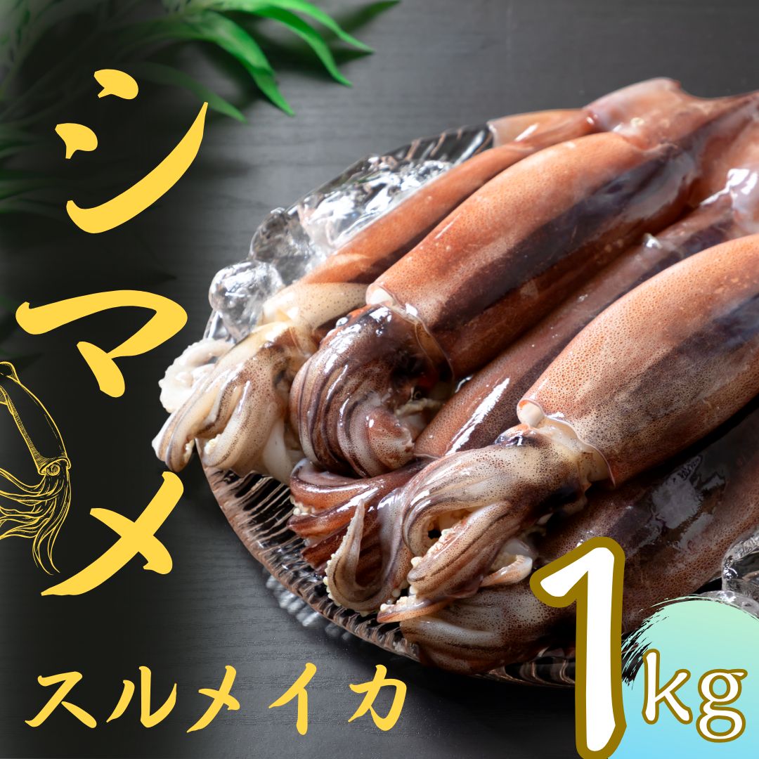 【ふるさと納税】朝どれシマメ（スルメイカ）約1kg 5~6杯 刺身 新鮮 冷凍 小分け 海士町産 寒シマメ 朝どれ鮮度 旨味たっぷり いか イカ スルメイカ CAS CAS冷凍 ギフト お中元 御中元 12月24日までのご注文で年内発送