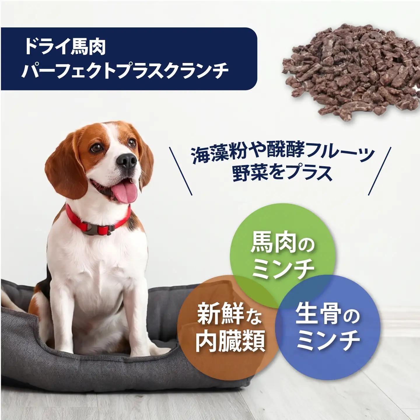 ドライ馬肉パーフェクトプラス クランチ 5連パック 3セット【ディアラ】[AKGU014]