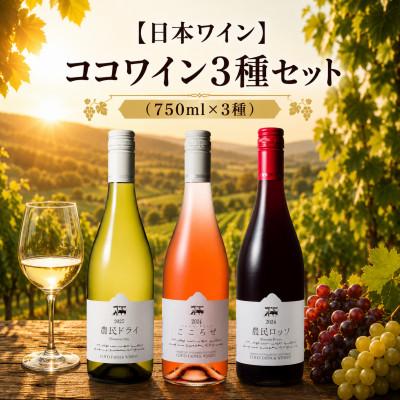 ふるさと納税 足利市 【日本ワイン】ココワイン3種セット(750ml×3種)