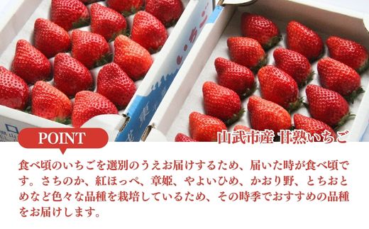 【先行予約12月中旬発送】山武市産 甘熟いちご 800g以上 おすすめの品種をお届け ／ふるさと納税 いちご イチゴ 苺 果物 くだもの フルーツ 旬のくだもの 季節のフルーツ 千葉県 山武市 SMB