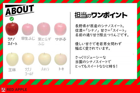 りんご【訳あり】家庭用 シナノゴールド 約2.5kg