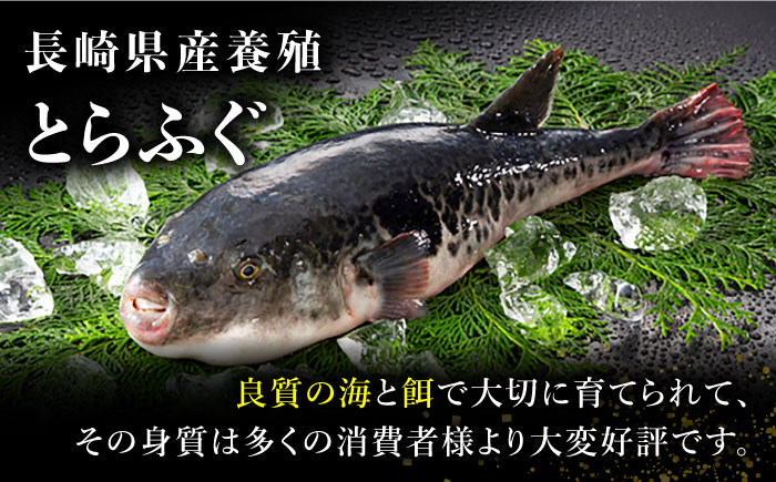【2024年9月〜発送】長崎県産 とらふぐ 刺身 5人前 アラ付き  / ふぐ ふぐ刺し南島原市 / 大和庵 [SCJ018]