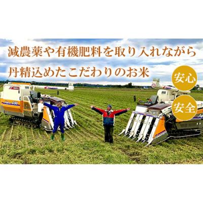ふるさと納税 恵庭市 「恵庭産たつやのゆめぴりか」10kg(5kg×2袋)【56000102】 |  | 03