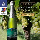 【ふるさと納税】 《高畠ワイナリー》数量限定 嘉スパークリングワイン ピノ・シャルドネ 750ml F20B-947