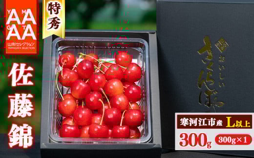 
            【先行予約】令和8年産 特秀品 さくらんぼ「 佐藤錦 」300g L以上 2026年産 山形県産 【2026年6月上旬頃～下旬頃発送予定】 ※配送不可 沖縄・離島 016-A-AF011
          
