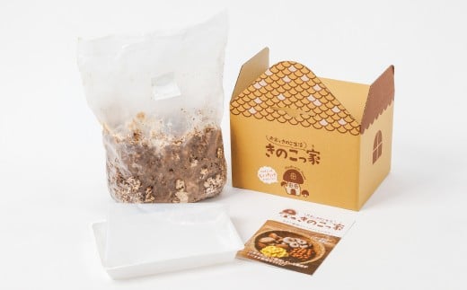 おうちで楽しむ　しいたけ栽培キット　きのこっ家【きのこ しいたけ 栽培 キット 菌床  1個】