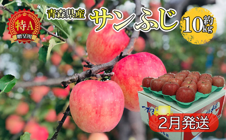 サンふじ約10kg 贈答用【特A】（2月発送）青森県産 果物 りんご 青森りんご 旬のフルーツ 産地直送 