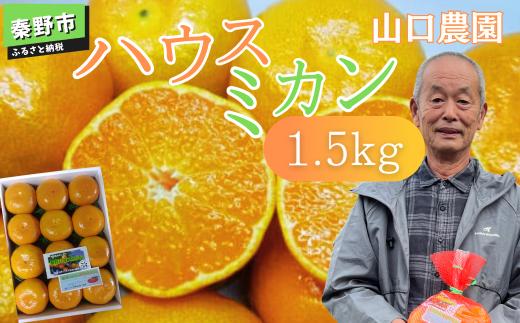 先行予約！７月以降順次発送 甘いハウスみかん（1.5㎏) 山口農園