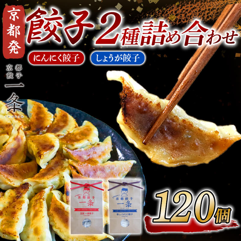 【ふるさと納税】 餃子 2種詰め合わせセット にんにく餃子 ＆ しょうが餃子 120個 冷凍 ぎょうざ ギョウザ ギョーザ しょうが 生姜 豚肉 便利 簡単調理 惣菜 絶品 おかず お子様 家族 餃子 人気餃子 簡易包装餃子 冷凍生餃子 京都 井手町 京都餃子一条 【230】