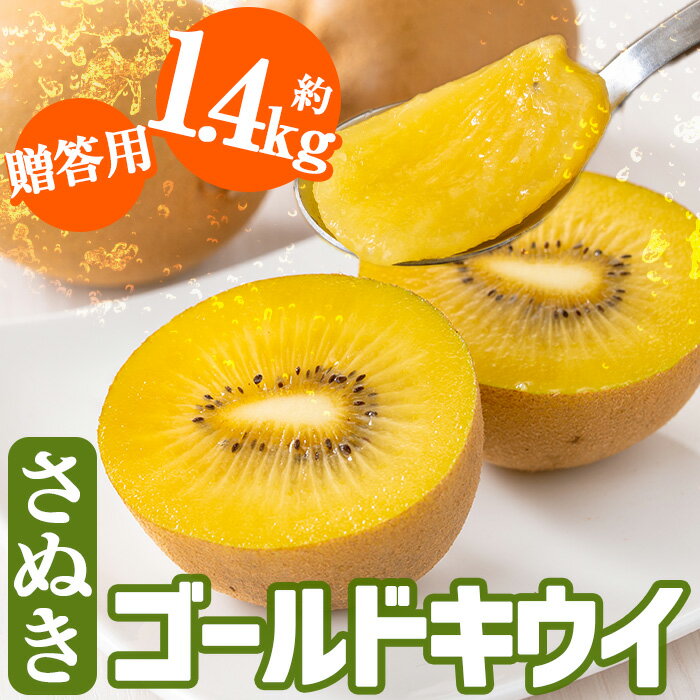【ふるさと納税】＜先行予約！2025年10月中旬以降順次発送予定＞＜贈答用・大玉厳選＞香川県産 さぬきゴールドキウイ(約1.4kg・化粧箱)国産 果物 くだもの 産地直送 フルーツ キウイフルーツ【man064】【Aglio nero（アリオネロ）】
