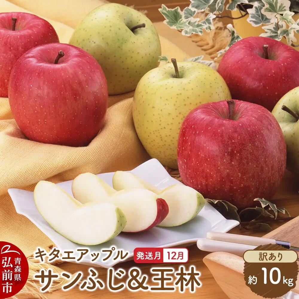 【26年12月発送】りんご サンふじ・王林【訳あり】約10kg キタエアップル 青森県 弘前市