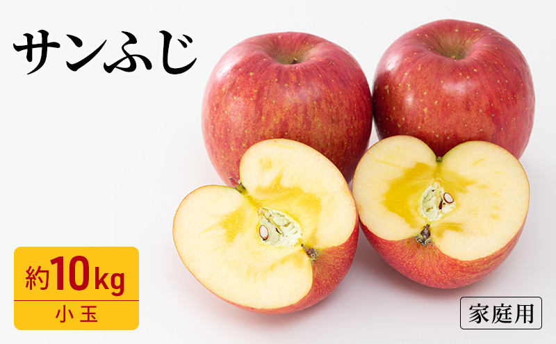 りんご サンふじ 家庭用 小玉 約10kg フルーツ 果物 林檎 甘い 訳あり