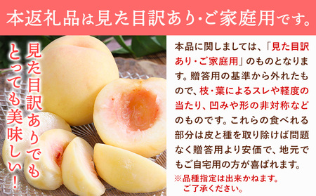 【2026年先行予約】ご家庭用 旬の桃 約1.2kg ( 4~6玉前後 ) 株式会社創・和(雅桃園) 《2026年7月上旬-8月上旬頃出荷》岡山県 浅口市 桃 もも フルーツ 果物 青果 旬 白桃 わ