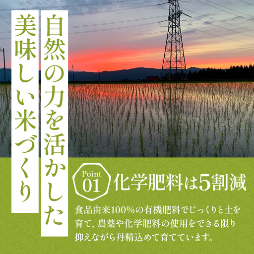 【令和8年産 先行予約】〈定期便〉魚沼産特別栽培米コシヒカリ［清津の恵］精米10kg（5kgx2袋）全12回