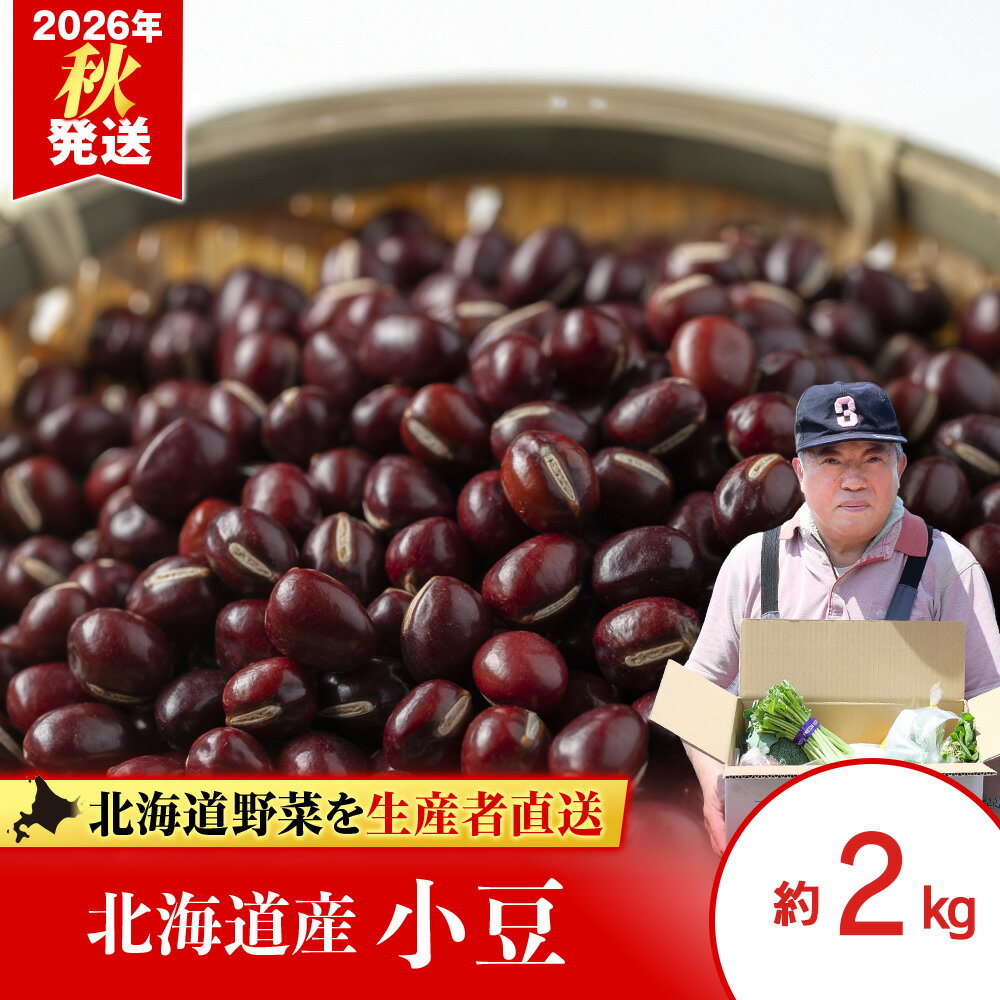 【ふるさと納税】2026年発送 小豆 約2kg《土居ファーム》 豆 野菜 やさい 小豆 あずき 北海道ふるさと納税 千歳市 ふるさと納税【北海道千歳市】ギフト ふるさと納税