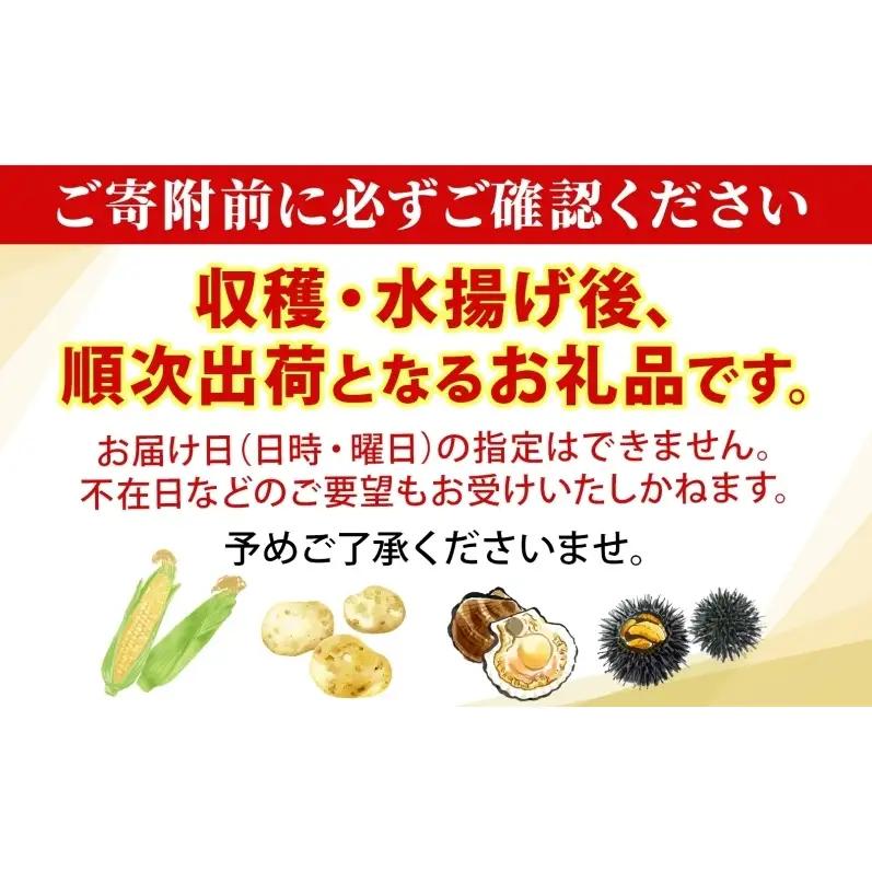 北海道産 活ほたて 2年貝 約4kg 30枚～45枚 2027年1月中旬以降水揚げ次第出荷 ほたて 帆立 ホタテ 生 貝 魚貝 魚介 海産 海鮮 貝柱 噴火湾 刺身 送料無料 北海道 洞爺湖町