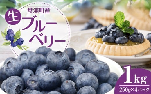 【先行予約 2026年6月下旬以降発送】琴浦町産生ブルーベリー１kg（250g×4パック）【ブルーベリー 果物 くだもの フルーツ アイス ヨーグルト ケーキ 新鮮 国産 人気 おすすめ 鳥取県 琴浦町 送料無料】