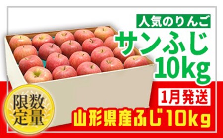 ☆フルーツ王国山形☆【家庭用】無袋サンふじりんご 10kg [1月発送]FZ22-943