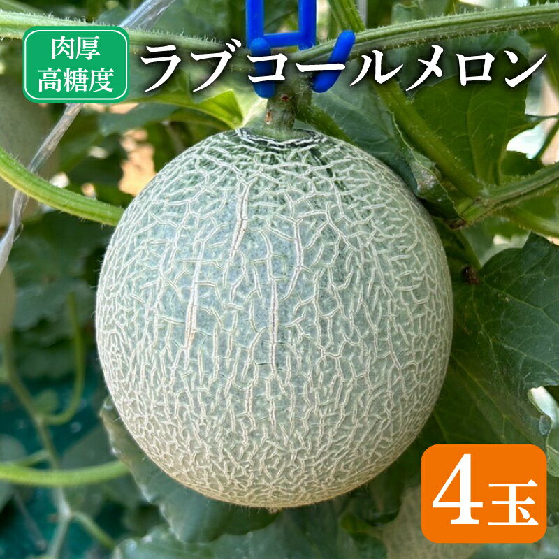 【ふるさと納税】 先行予約 ラブコールメロン 4玉 メロン 果物 フルーツ 糖度 甘い 贈答 プレゼント ギフト ゼリー ジュース フルーツサンド ケーキ シャーベット アイス デザート スイーツ 送料無料 千葉県 銚子市 はぎわらファーム 発送時期 2025年7月〜(なくなり次第終了)