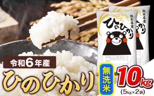 令和6年産  無洗米 ひのひかり 10kg 《7-14営業日以内に出荷予定(土日祝除く)》令和6年産 熊本県産 ふるさと納税 精米 ひの 米 こめ ふるさとのうぜい ヒノヒカリ コメ お米 おこめ