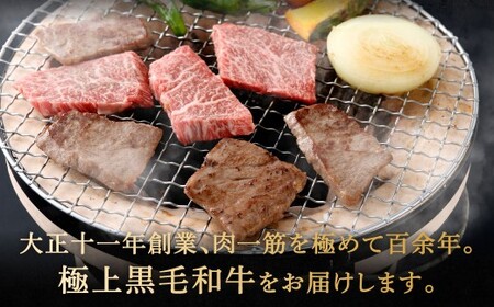 【やまぐち和牛燦】 牛カルビ焼肉 約500g 牛カルビ 焼肉 焼き肉 牛肉 冷凍 福岡県 北九州市
