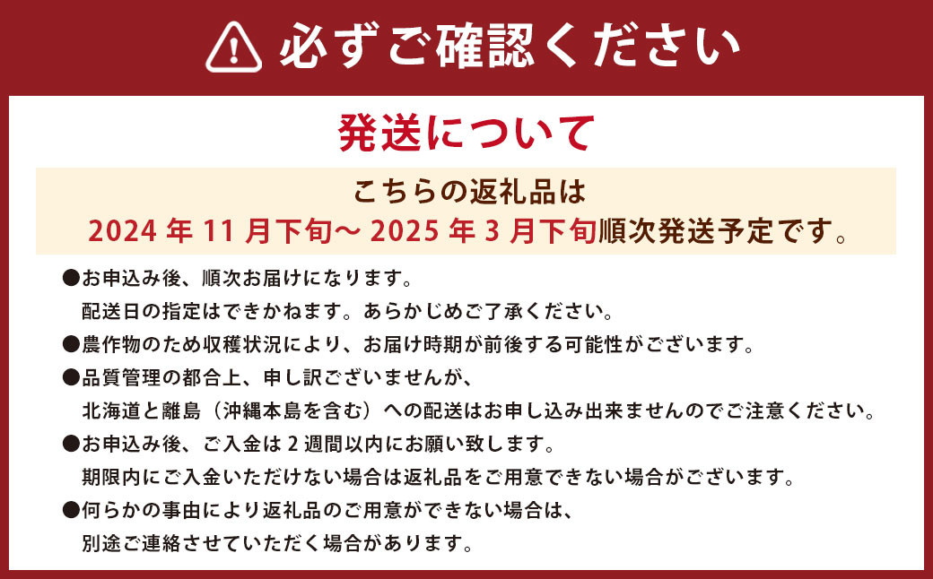 福岡県産あまおう ギフト箱 24-30粒 【2024年11月下旬～2025年3月下旬発送予定】