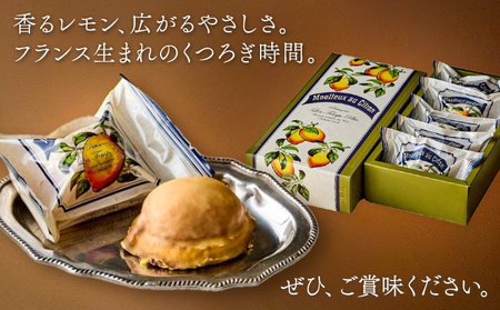 モエルーオシトロン 5個入り パティスリーレタンプリュス《30日以内に出荷予定(土日祝除く)》千葉県 流山市 ケーキ レモンケーキ レモン 高級 ブランド お取り寄せ 茶菓 お中元 お菓子 焼き菓子 