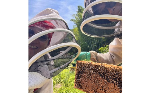 BeeCampのはちみつ ホリデー・セット | 春のはちみつ 夏のはちみつ 2瓶 セット ギフト 国産 非加熱 純粋 生はちみつ 百花蜜