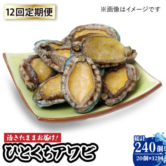 【ふるさと納税】【全12回定期便】【活きたままお届け！】 上五島産 養殖 ひとくち アワビ 厳選 20個【豊建設株式会社】 [RAE008]