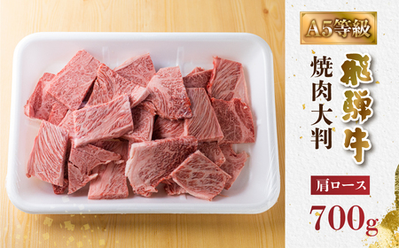 【2週間～発送】飛騨牛 A5等級 焼肉用 霜降り 700g 大判 訳あり 焼き肉 BBQ 肉 牛肉 お肉 和牛 冷凍 霜降り A5等級 25000円 [S427]