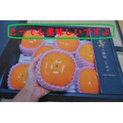 ふるさと納税 南砺市 甘柿『太秋柿』　4L　8個　大化粧箱入り