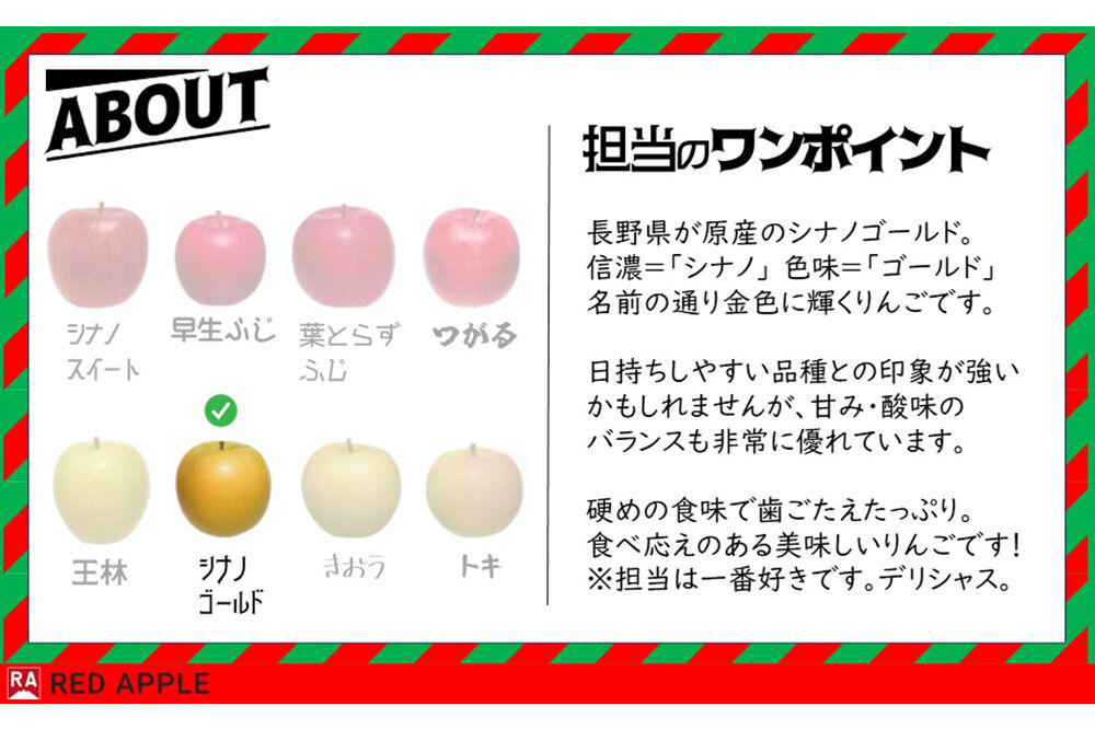 【26年11月～発送】りんご【訳あり】家庭用 シナノゴールド 約10kg 先行受付 [アップル おいしい シナノ シナノゴールド りんご 黄色 果実 果物 美味 林檎]