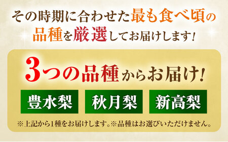 【先行予約】厳選おまかせ梨 約1.8kg 梨 豊水梨 秋月梨 新高梨 果物 フルーツ 【日本フルーツ株式会社】[ZFJ065]