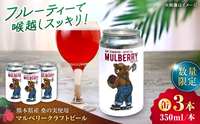 
                  【数量限定】マルベリークラフトビール　缶350ml×3本 【株式会社 峯樹木園】熊本県 合志市 クラフトビール ビール 酒 お酒 缶ビール お土産 お歳暮 お中元 父の日 バレンタインデー キャンプ アウトドア バーベキュー フェス 祝い プレゼント  [AYBM025]
                