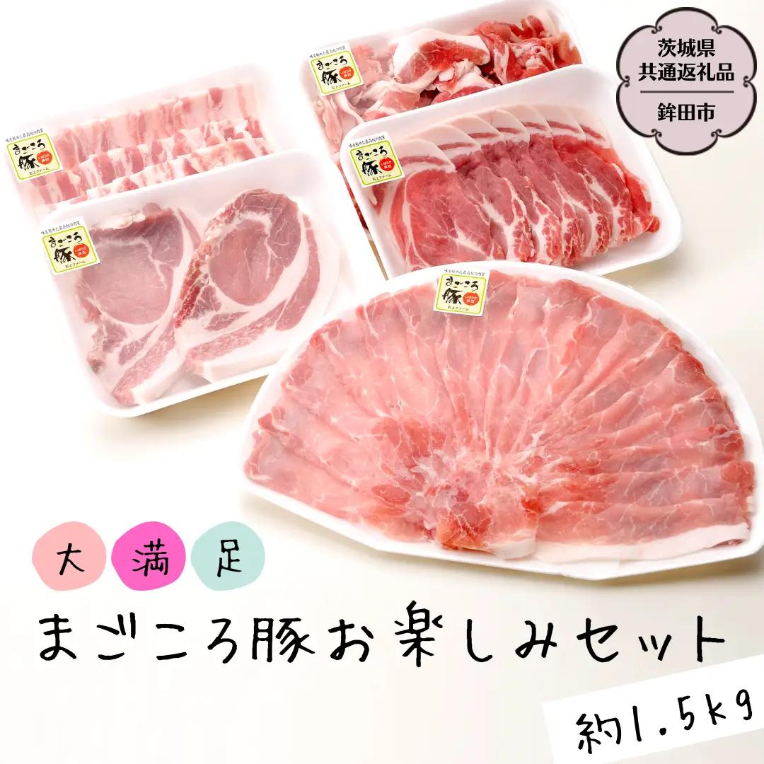 大満足！まごころ豚 お楽しみ セット 約1.5kg（茨城県共通返礼品 鉾田市） ブランド豚 銘柄豚 豚肉 モモしゃぶしゃぶ 肩ロース バラ ロース こま切れ 焼肉 しょうが焼 仲田精肉店 [DB001