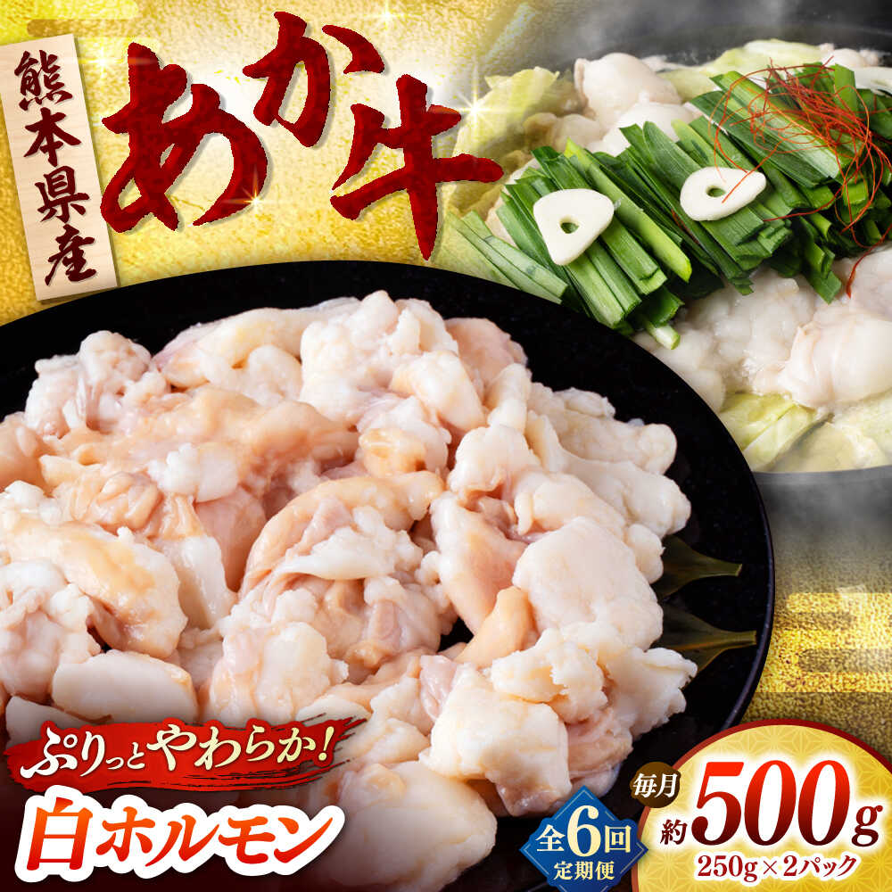【ふるさと納税】【全6回定期便】あか牛 白 ホルモン 500g (250g×2P) 【合同会社　長岡フーズ】[ZFR051]