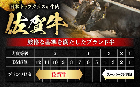 極上 佐賀牛 赤身 A5 サーロイン ステーキ 250g × 2枚 サーロインステーキ ロースステーキ 吉野ヶ里町/KRAZY MEAT[FDR002]