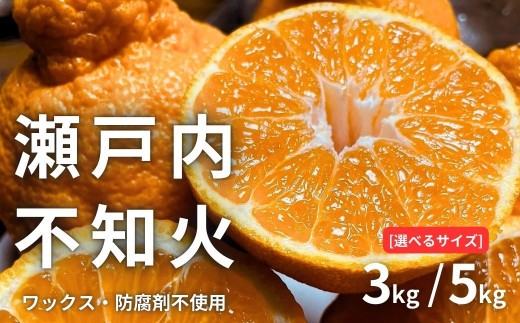 
                  【 選べる内容量 】  瀬戸内の不知火 3kg/5kg 【2027/2月〜4月発送 先行予約 】 ワックス 防腐剤不使用 国産 柑橘
                