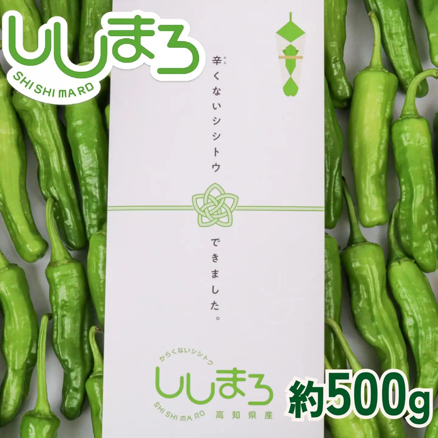 【先行予約】 ししとう 500g 野菜 獅子唐 