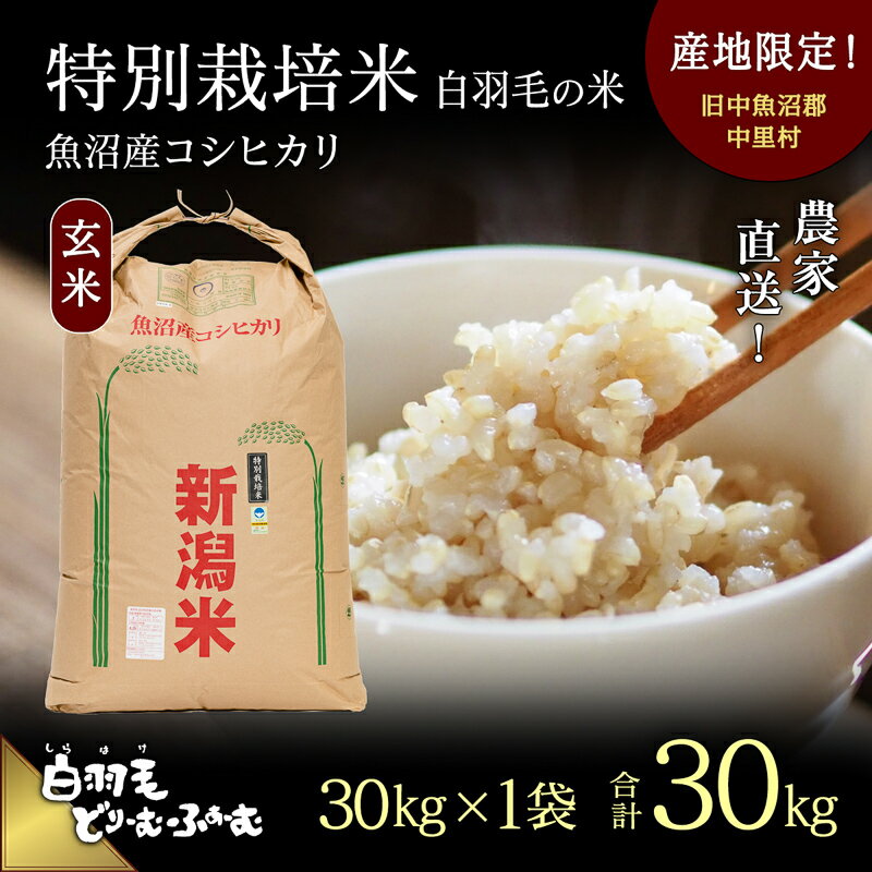 【ふるさと納税】【通年受付】≪令和7年産≫ 農家直送！魚沼産コシヒカリ特別栽培「白羽毛の米」玄米(30kg×1袋) 30kg お米 ご飯 安心 　お届け：10月1日発送開始。通年受付にてお届けします。