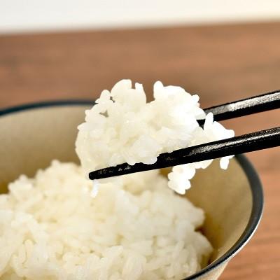 ふるさと納税 京丹波町 【発送月固定定期便】≪予約受付≫2026年11月発送開始　きぬひかり 京丹波町産 10kg全3回 |  | 02