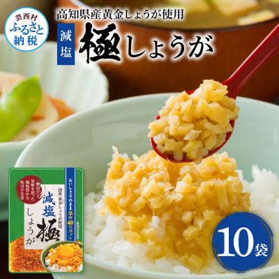 ふるさと納税 芸西村 減塩　味付け極しょうが　110g×10袋【SNS007】
