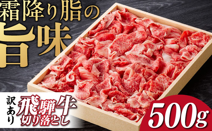 
            飛騨牛 切り落とし 500g 等級 部位お任せ 化粧箱入り 牛肉 岐阜市 / だるまミート [ANBE013]
          