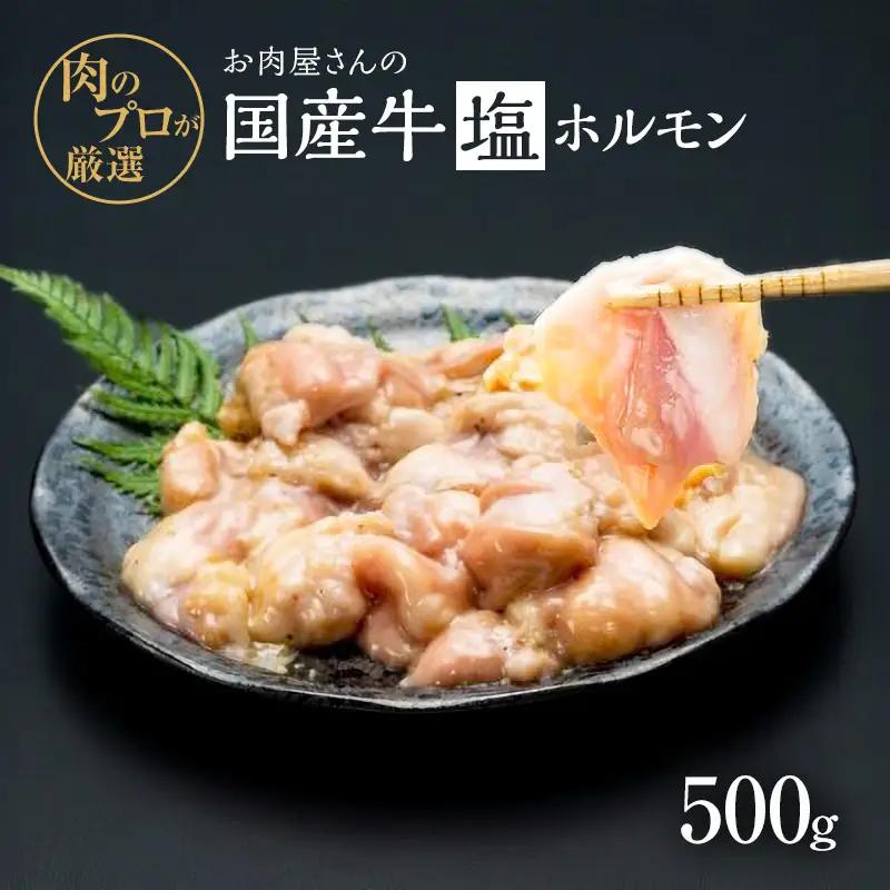 ホルモン 国産牛 塩ホルモン 味付け ホルモン【500g】